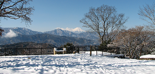 明治の森高尾国定公園