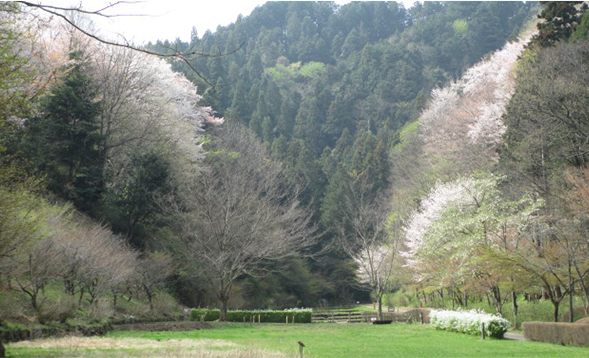 都立秋川丘陵自然公園